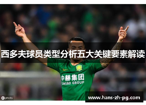 西多夫球员类型分析五大关键要素解读