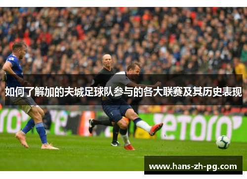 如何了解加的夫城足球队参与的各大联赛及其历史表现 如何了解加的夫城足球队参与的各大联赛及其历史表现