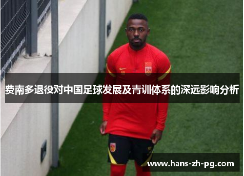 费南多退役对中国足球发展及青训体系的深远影响分析 费南多退役对中国足球发展及青训体系的深远影响分析