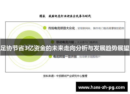 足协节省3亿资金的未来走向分析与发展趋势展望